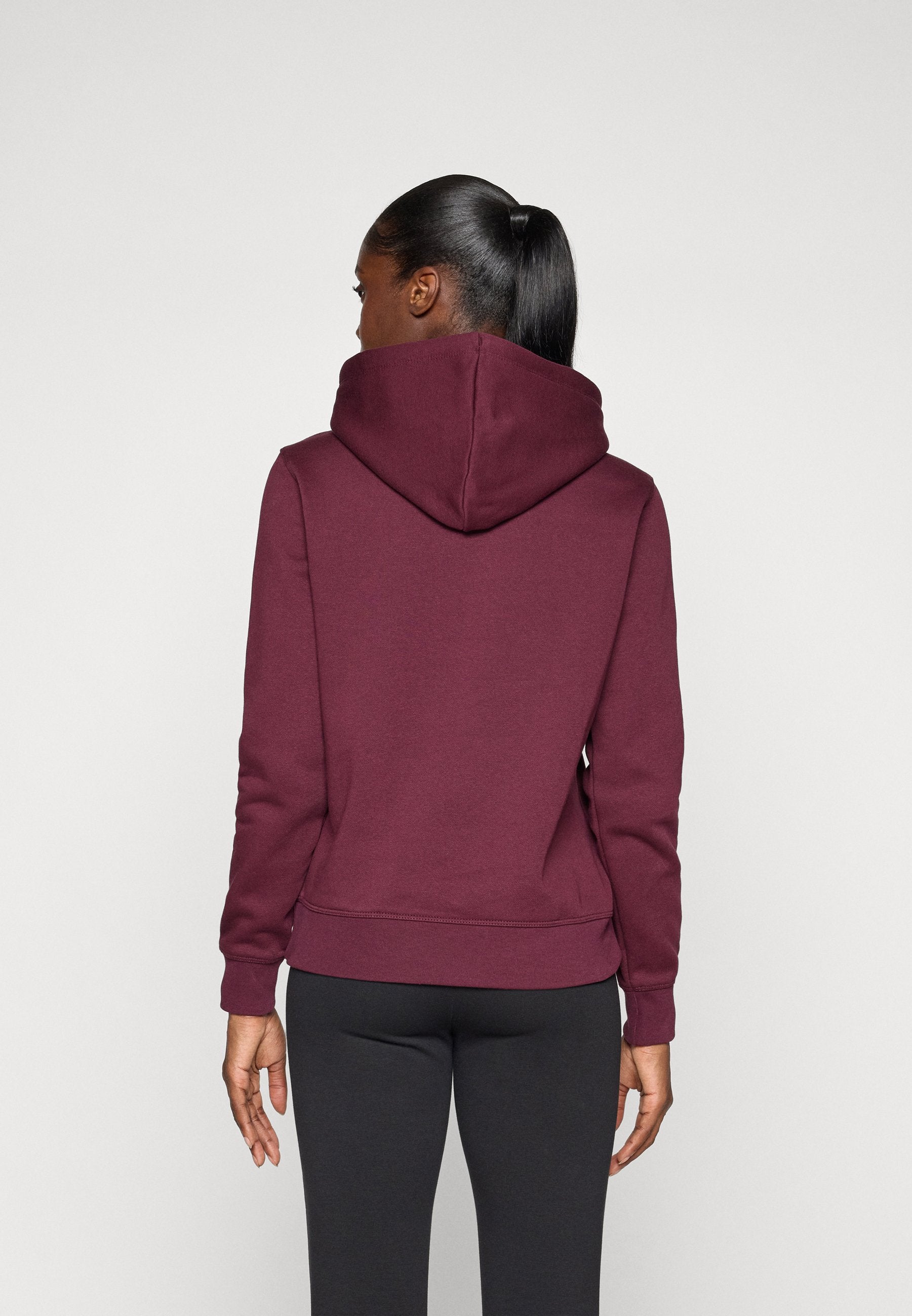 Champion ICONS TONAL HOODIE