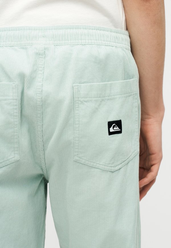 Quiksilver TAXER REGULAR PANT