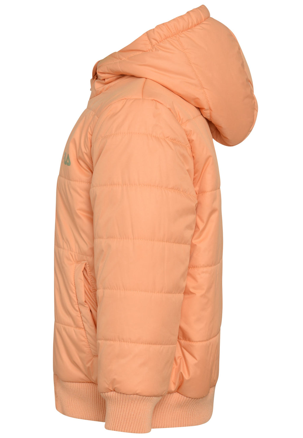  BERKOTH Media 3