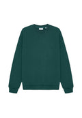 Grüner Baumwoll-Sweatshirt mit Rundhalsausschnitt, gerippten Bündchen und Saum sowie einem kleinen Logo in der Mitte vorne. Glatte Textur.
