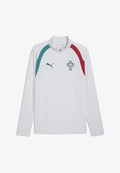 Puma PORTUGAL FPF TRAINING 1/4 ZIP TOP - Long sleeved top - silver mist-ocean tropic