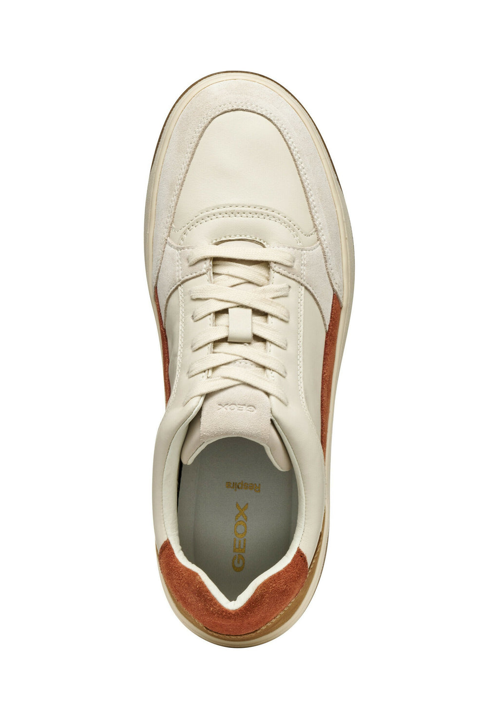Geox SEDRAL COURT