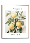 Orange Wallz LIMONI