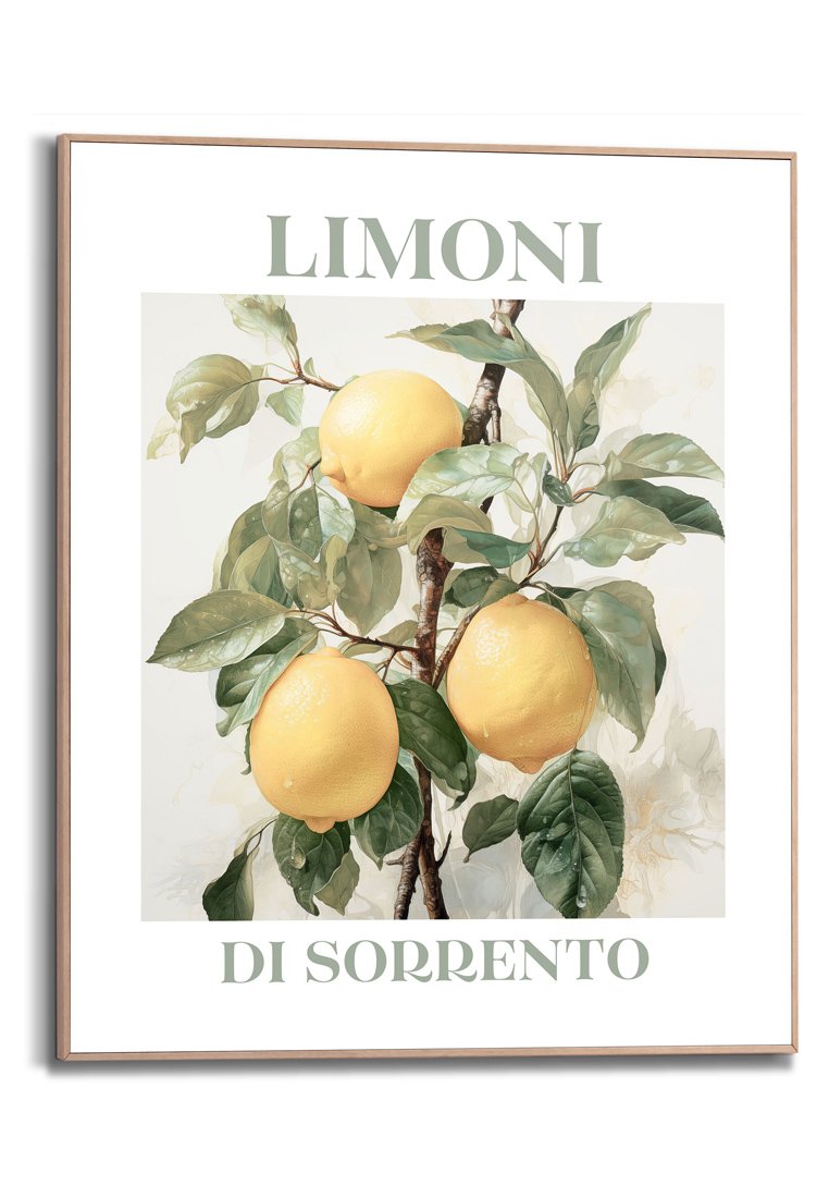Orange Wallz LIMONI