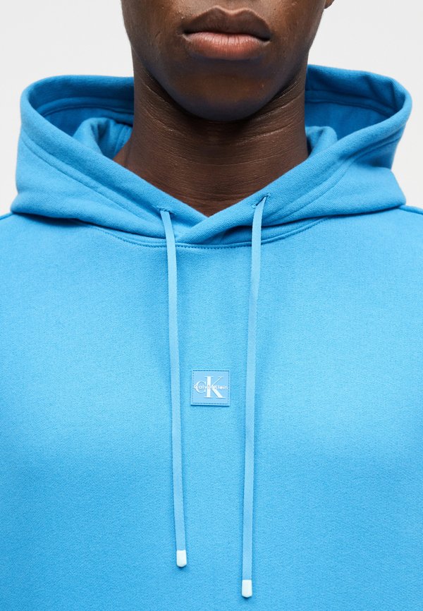 Calvin Klein HOODIE ICON