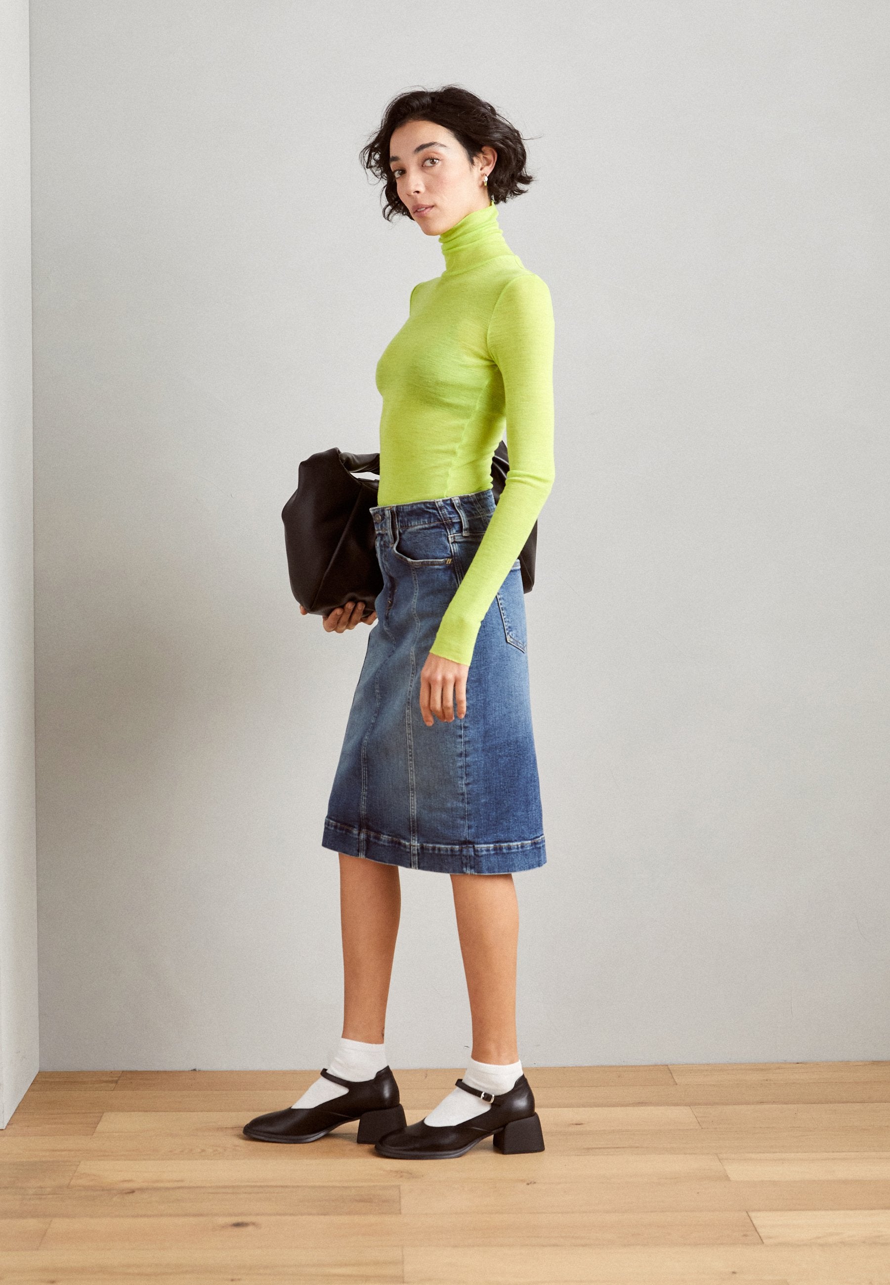 SKIRT Media 2