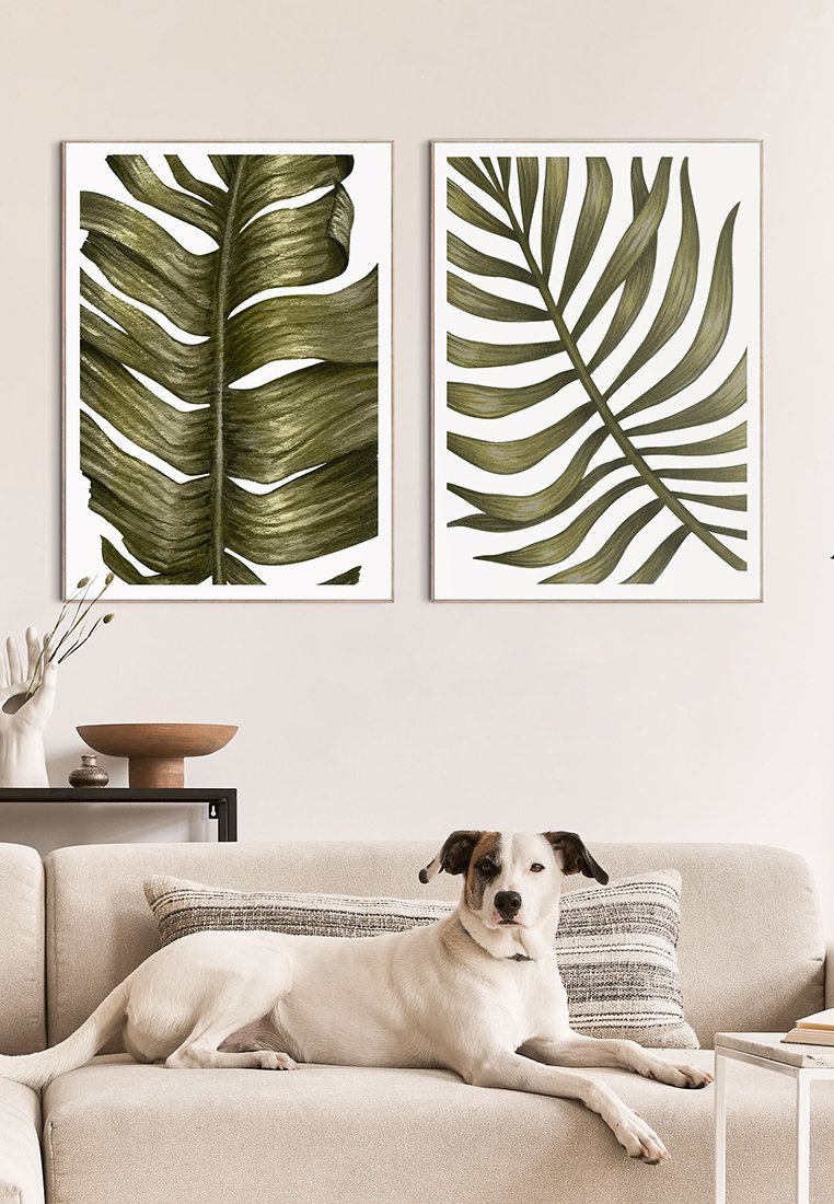 Orange Wallz BOTANICAL 2 PACK