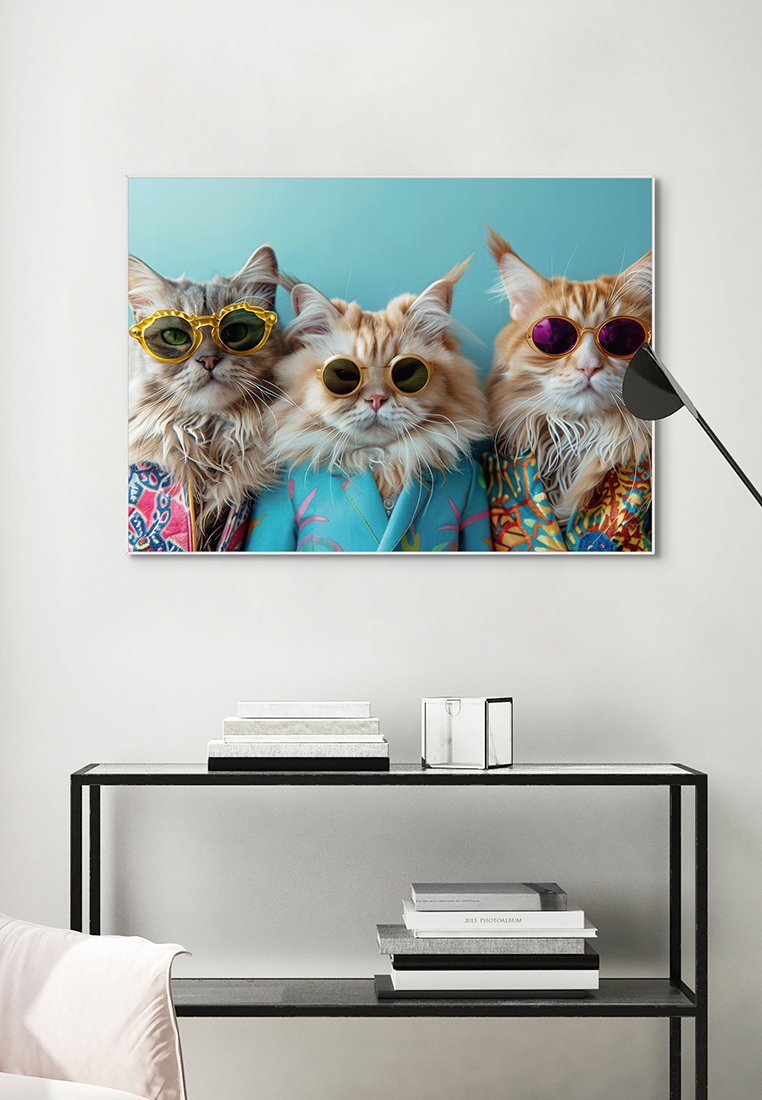 Orange Wallz CAT BAND