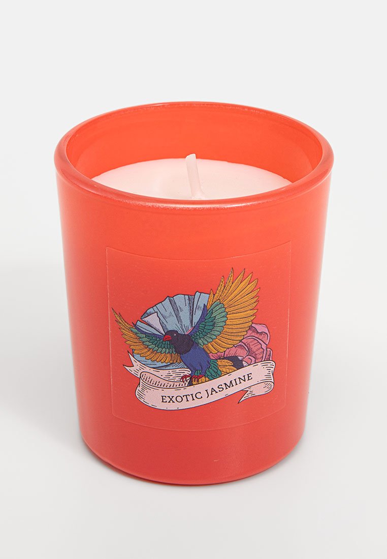 Candle-Lite KAHLO 3 PACK