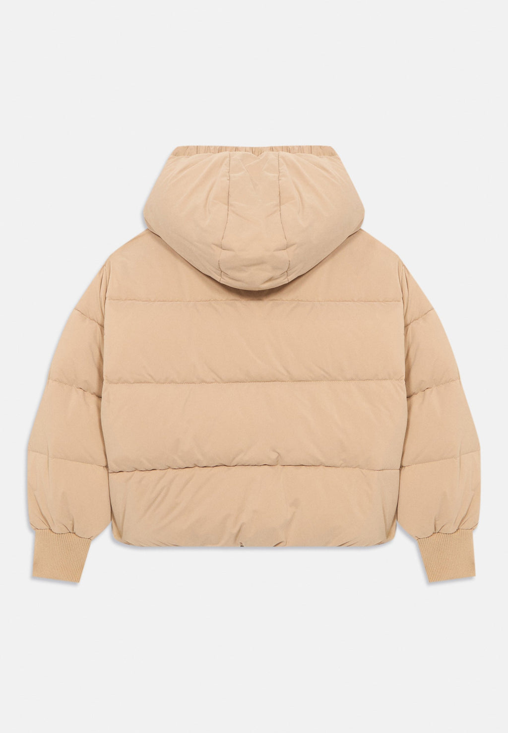PUFFER  Media 2