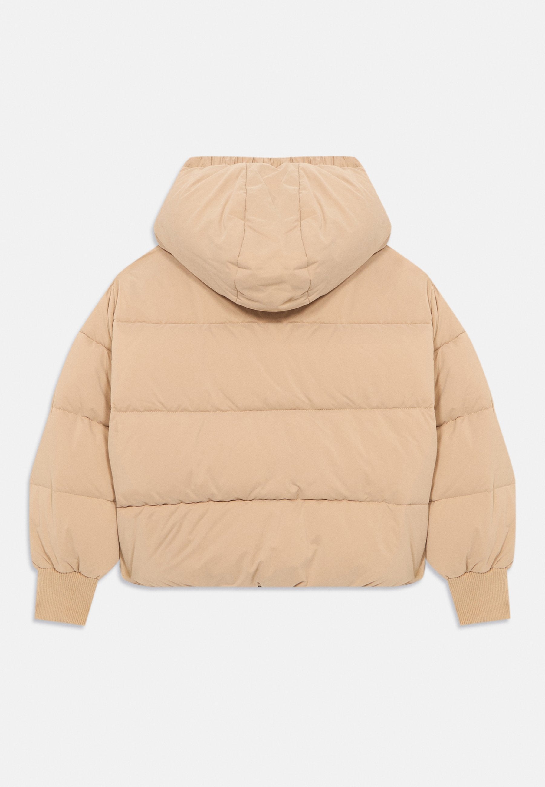 PUFFER  Media 2