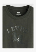 Levi's® GR BOXY TANK TANK DECO CANYON VIEW SUGAR. - Print T-shirt - tank fruit grid brig - blacks -
