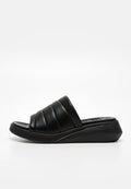 Scholl CUBA