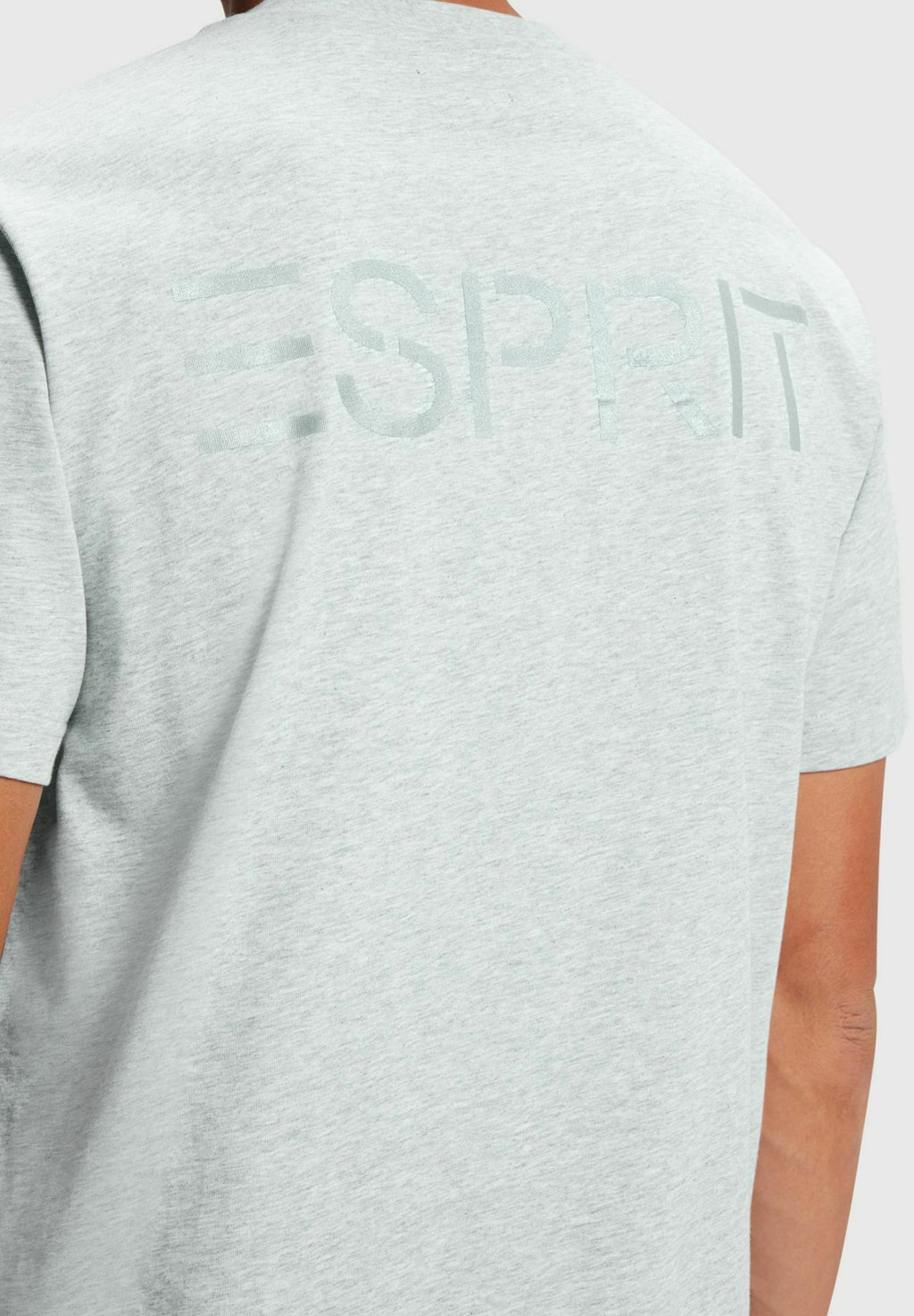 DOLPHIN Media 5
