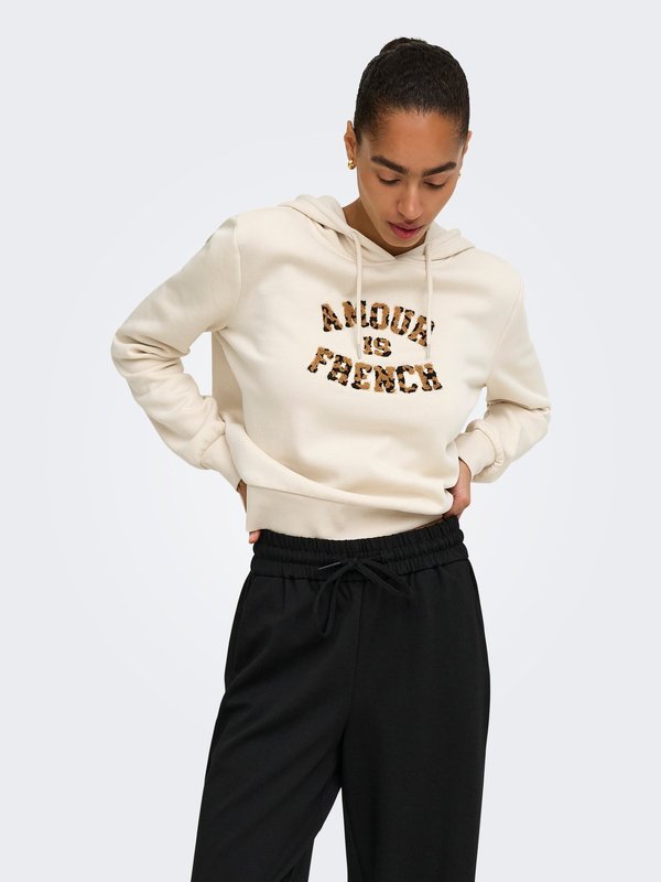 ONLY HOODIE ONLMAIA SWEATSHIRT - Hoodie - birch