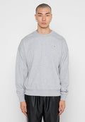 Grauer Rundhalsausschnitt-Pullover aus weichem Baumwollmix, mit überschnittenen Schultern und einem kleinen Logo auf der Vorderseite. Mit gerippten Bündchen und Saum.