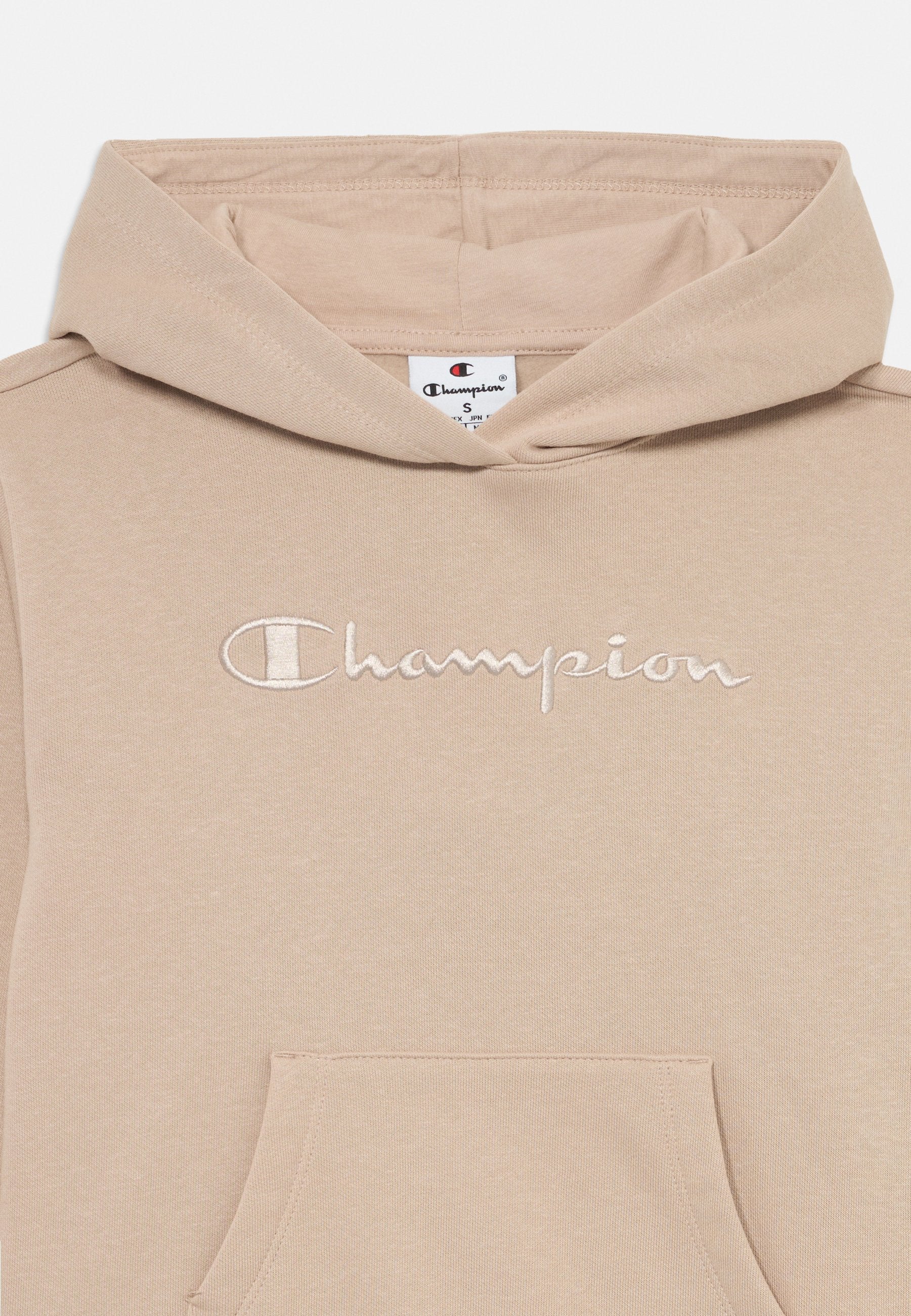 Champion ICONS HOODIE