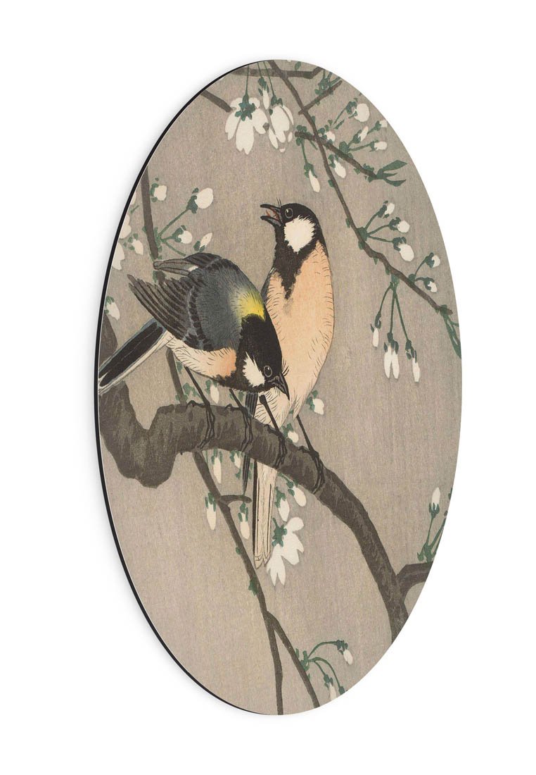 Orange Wallz OLD MASTER YELLOWBIRD