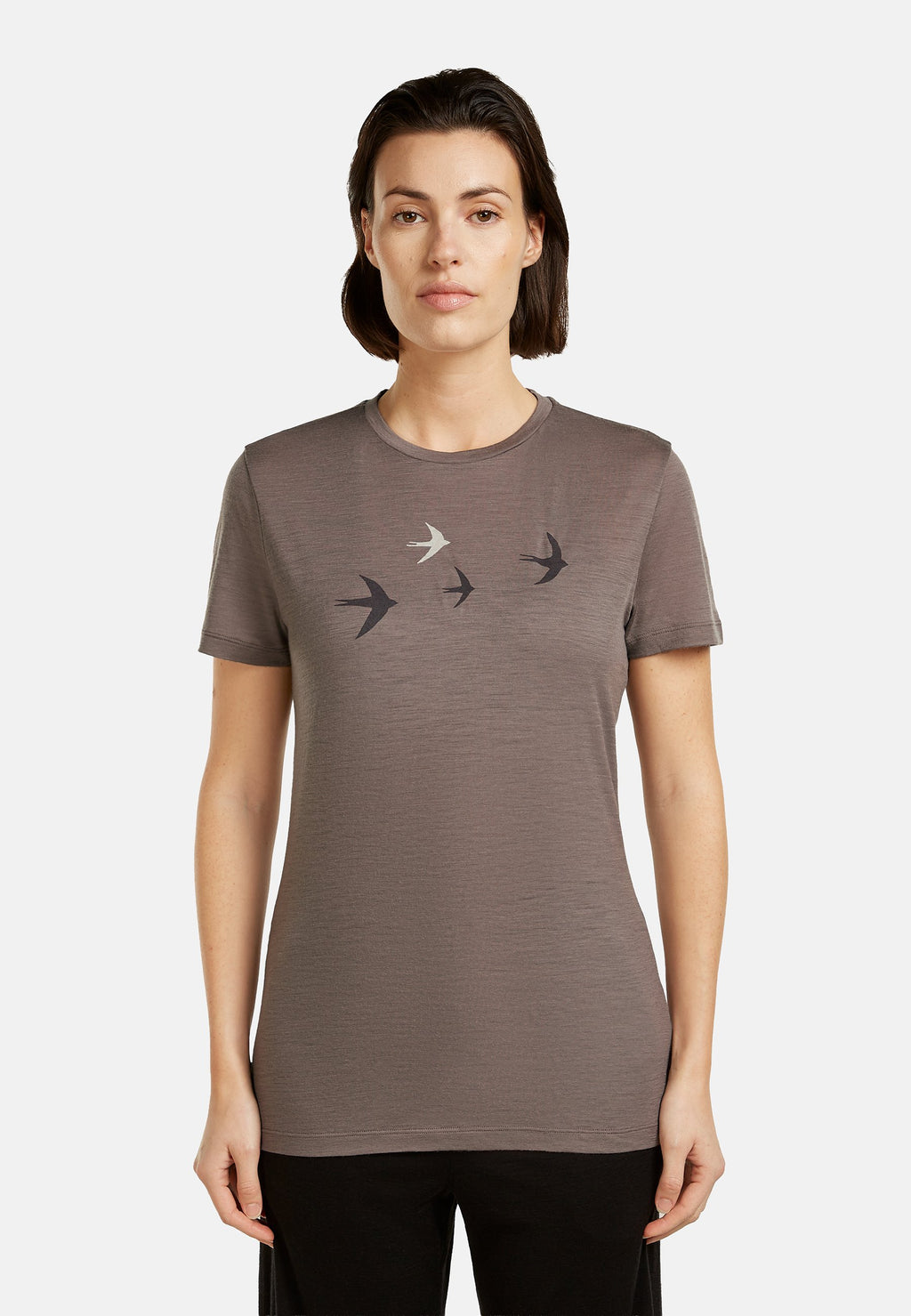 icebreaker 150 TEE BIRD