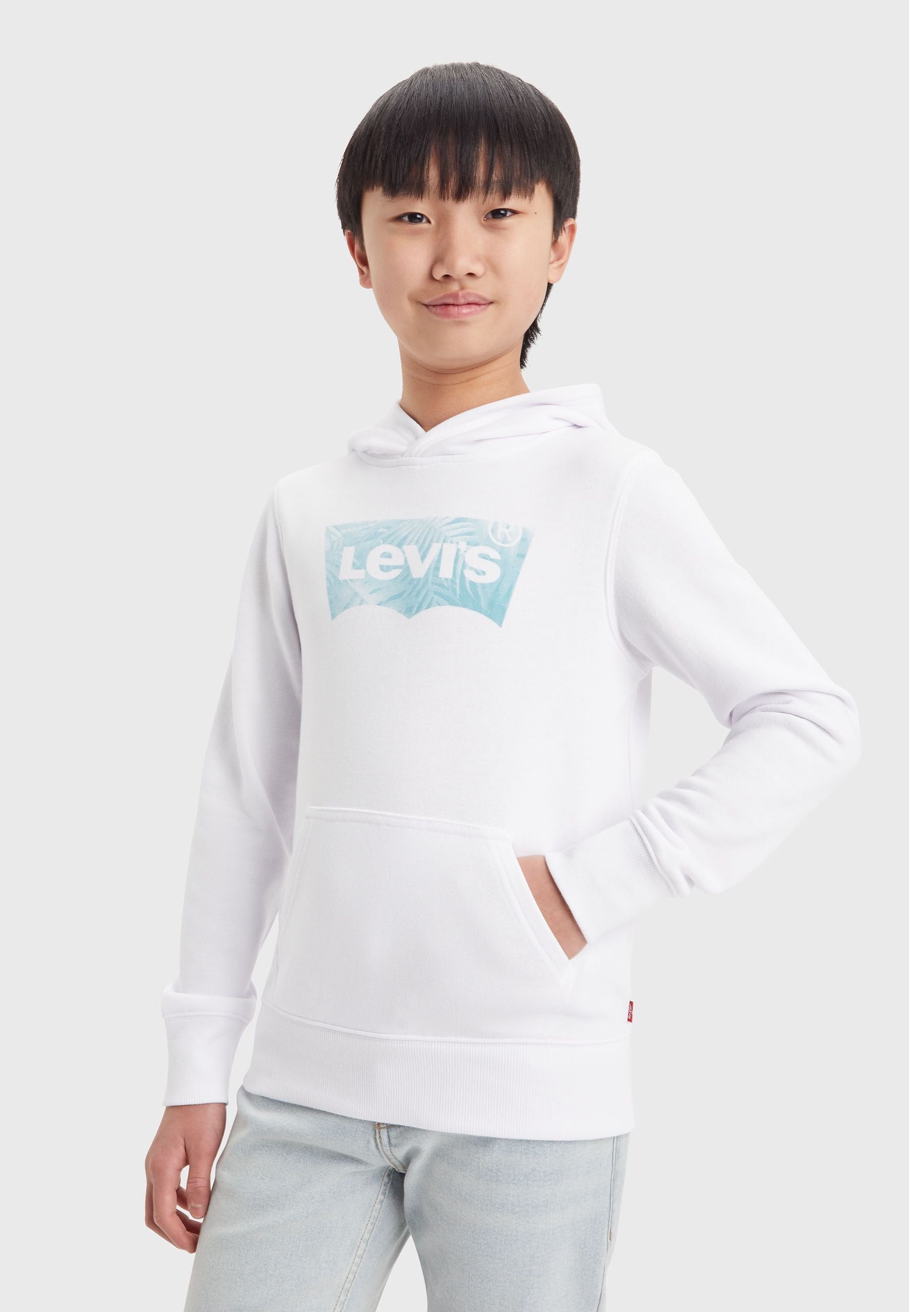 Levi's® PALM BATWING FILL HOODIE