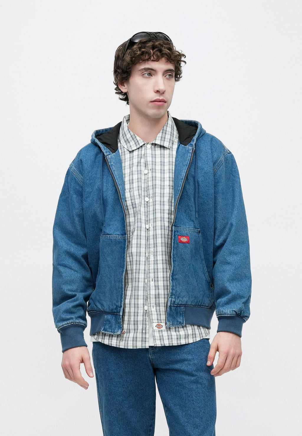 Dickies HILHAM LINED HOODED