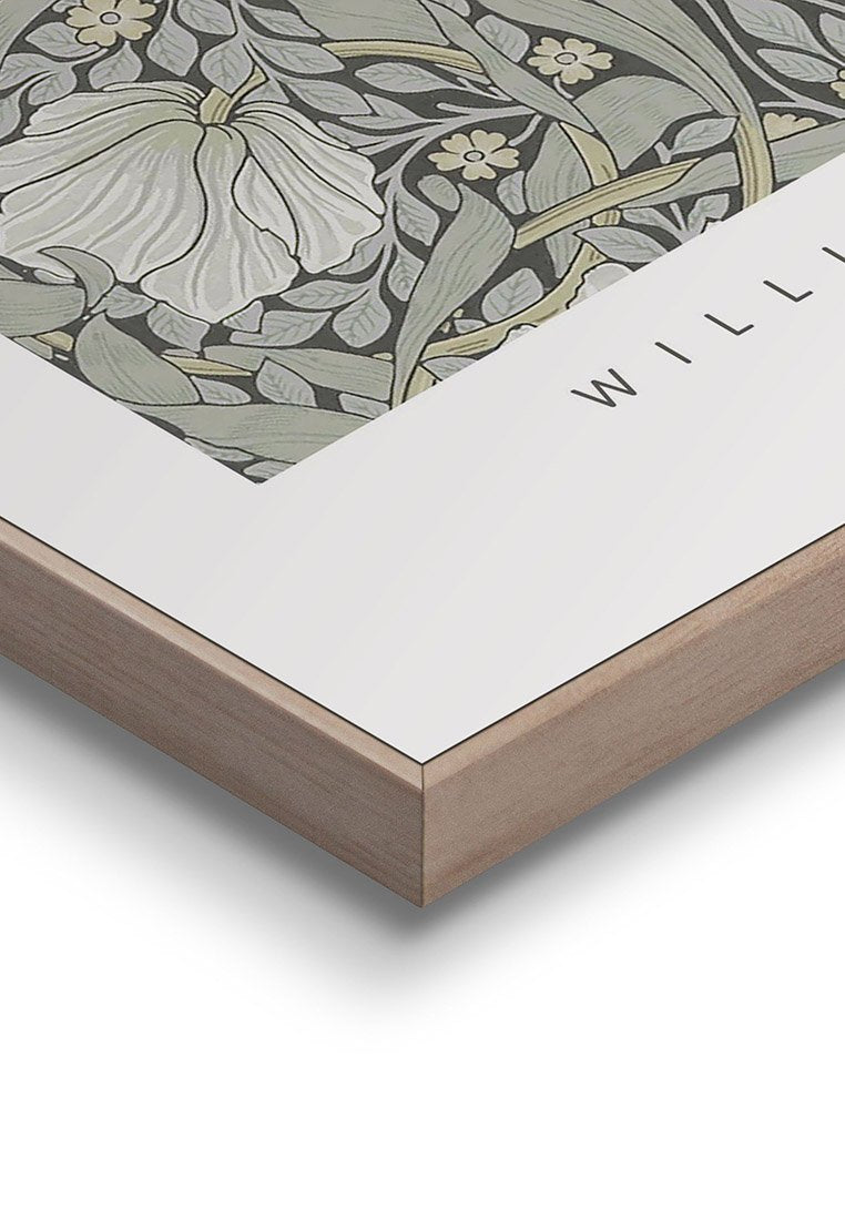 Orange Wallz WILLIAM MORRIS