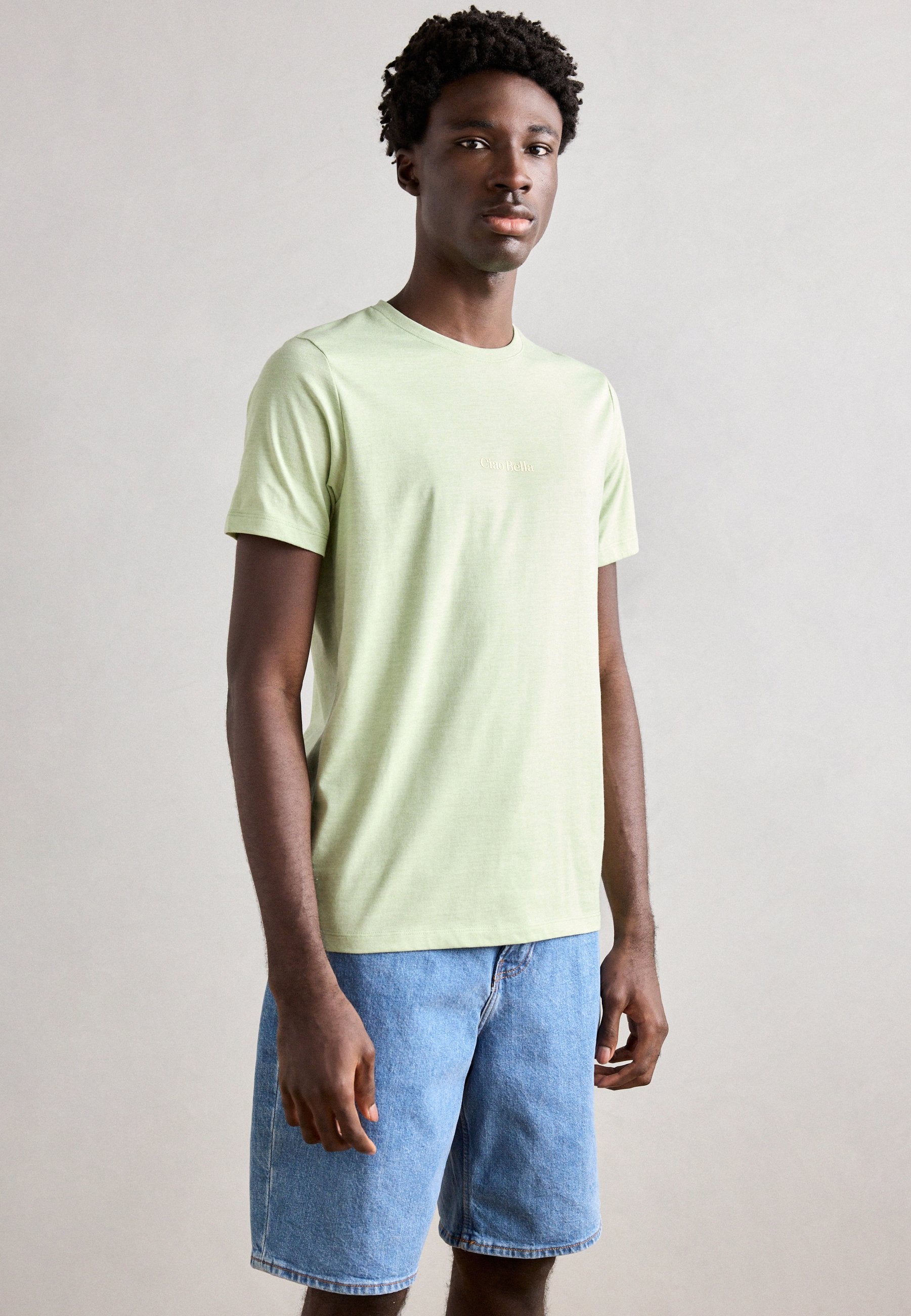 Lindbergh TEE
