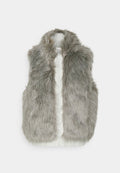 VEST Media 1