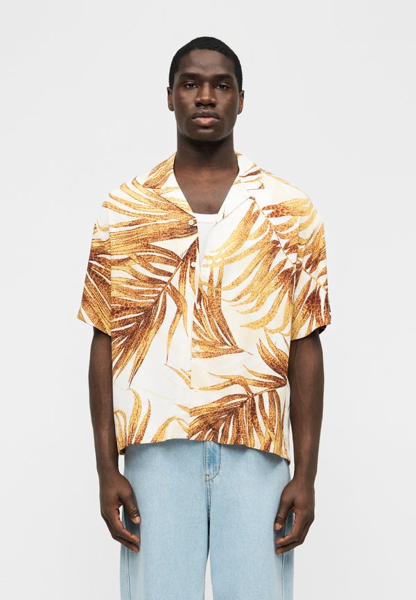 Just Cavalli
