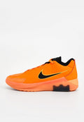 Nike Performance LEBRON WITNESS IX