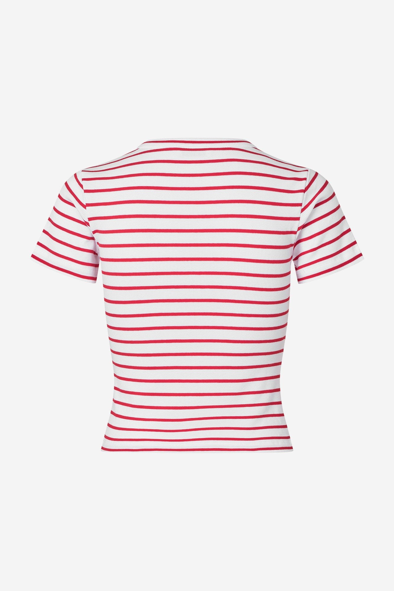 Envii ALLY CROP TEE
