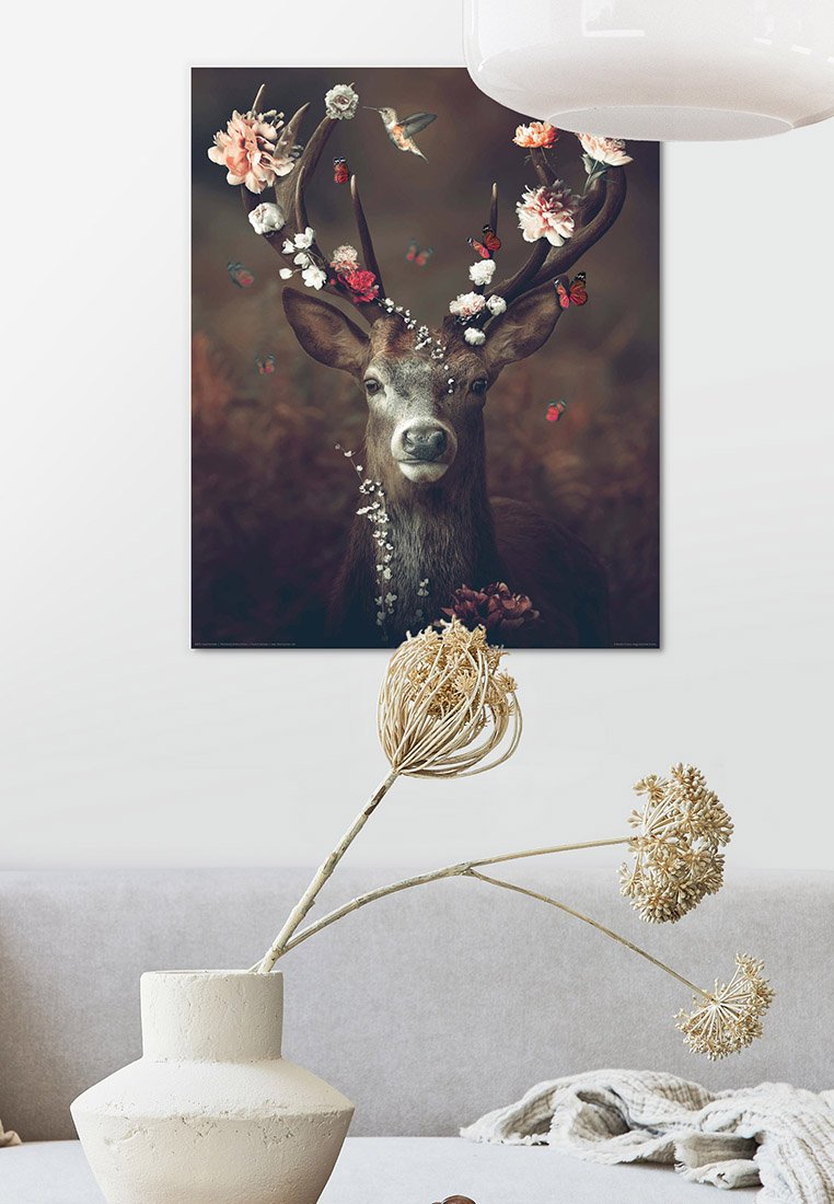 Orange Wallz FAUNA FLORA DEER