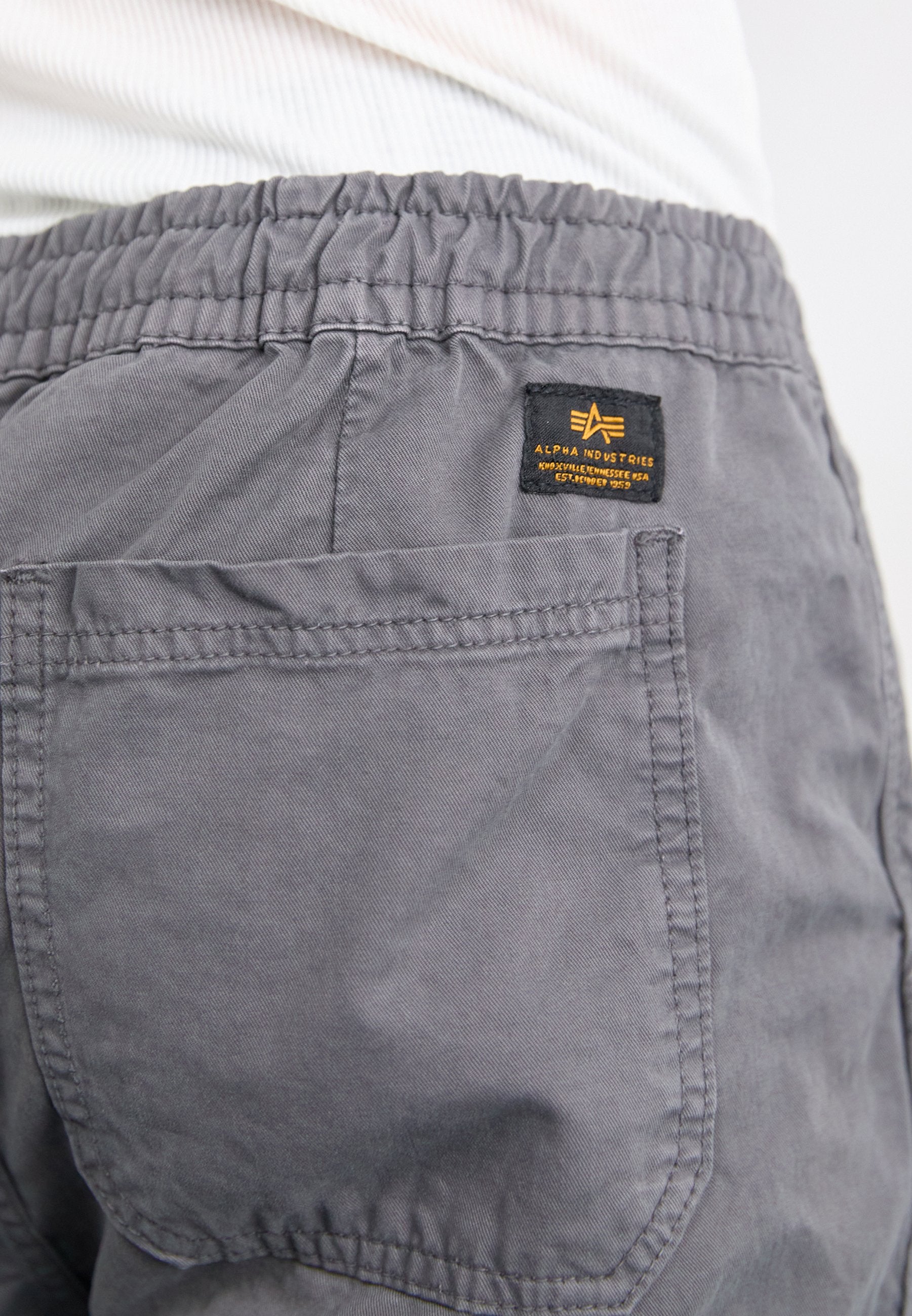 Alpha Industries BASIC
