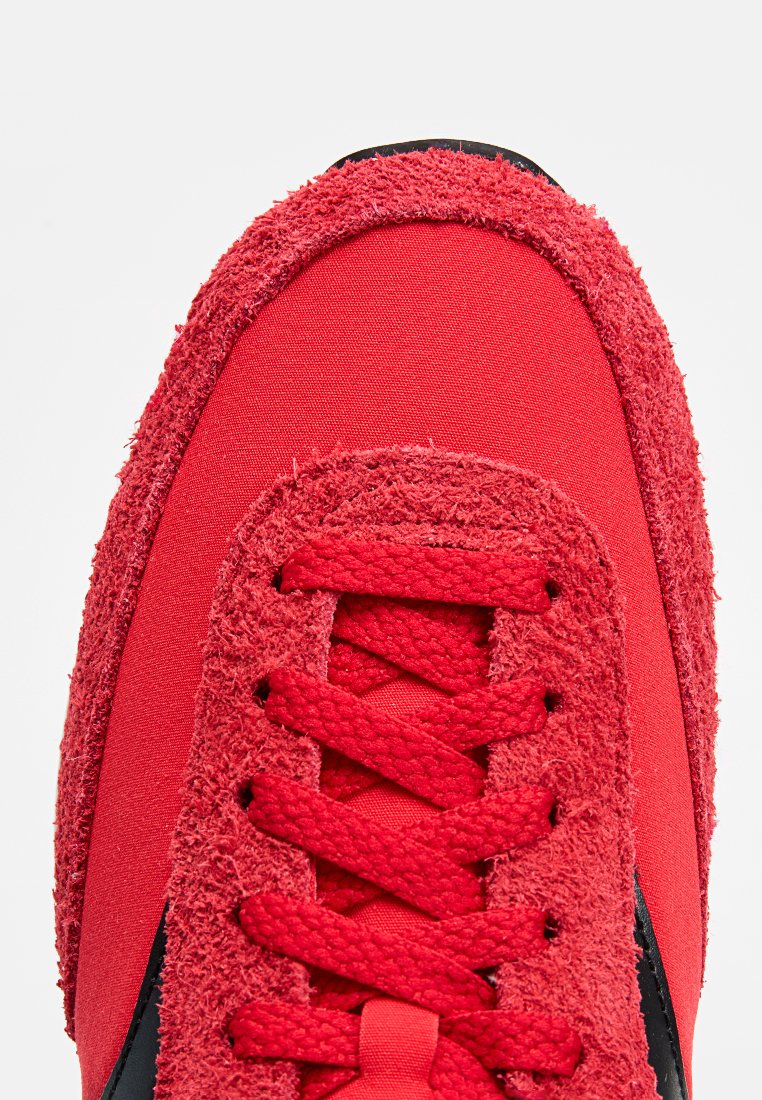 TRAINER 80 Media 4