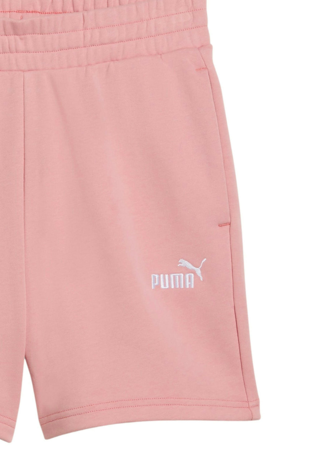 Puma PUMA SHORTS ESS SMALL NO. 1 KURZE HOSE