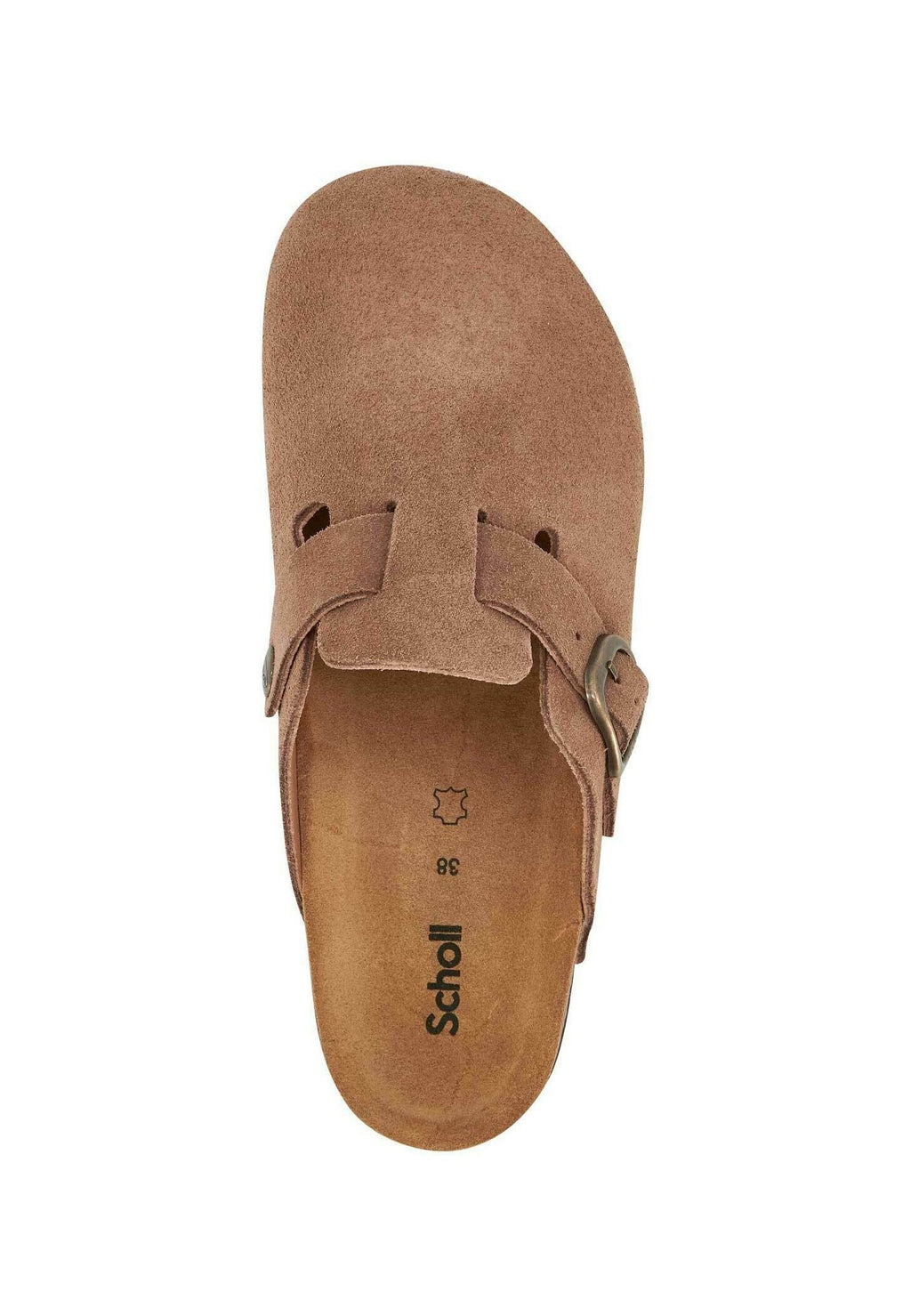 Scholl FAE NEW