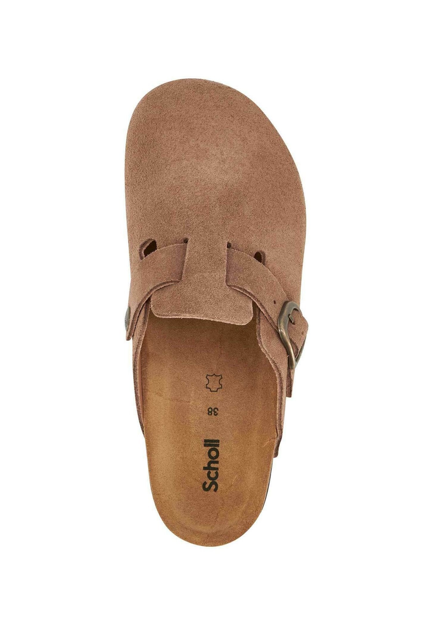 Scholl FAE NEW