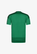 Puma TEAMGOAL 23 TRAININGSSHIRT HERREN - Sports T-shirt - pepper green / power green