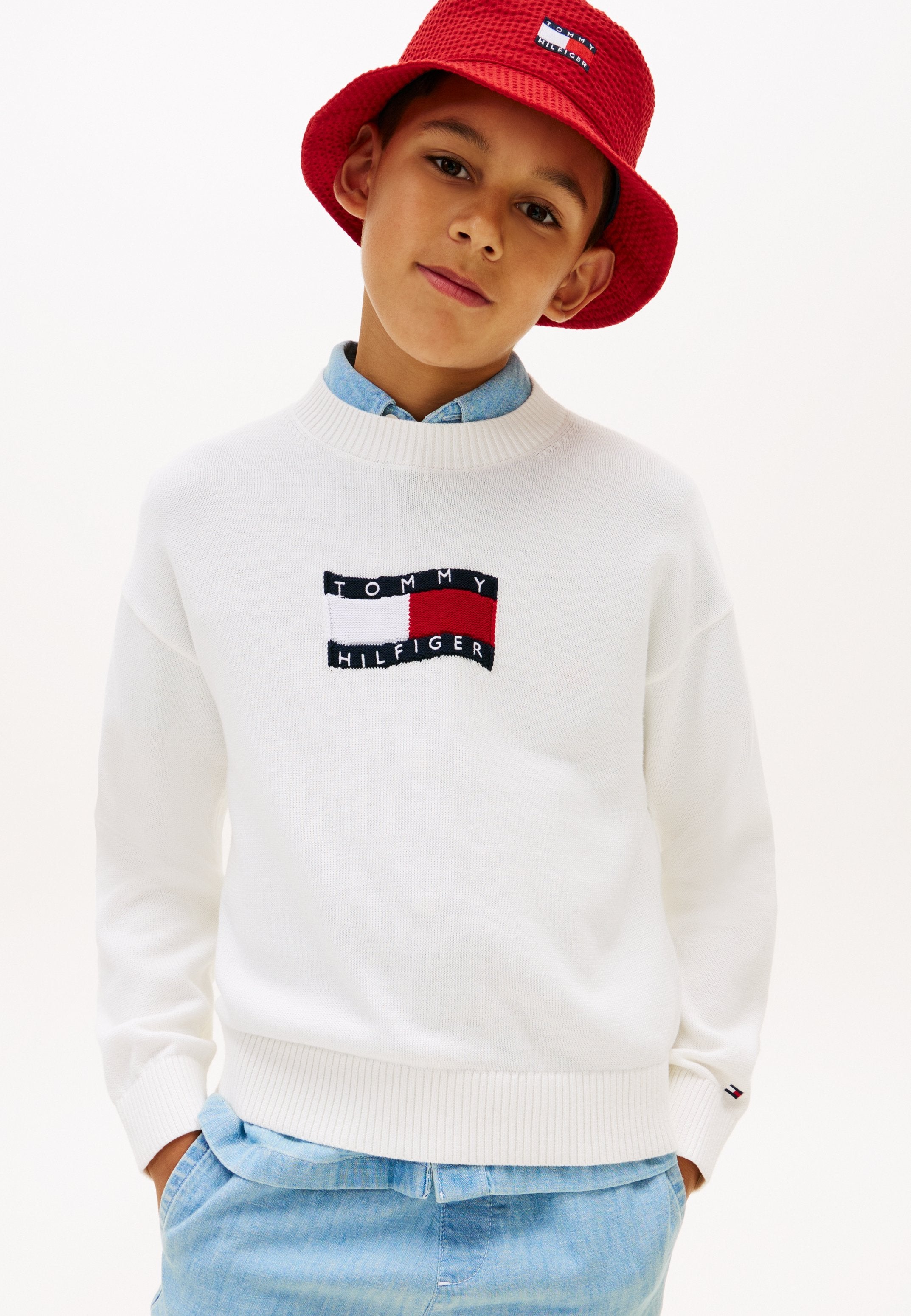 INTARSIA WAVY FLAG CREW NECK JUMPER Media 3