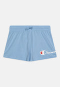 Champion ICONS WITH LARGE LOGO UNISEX