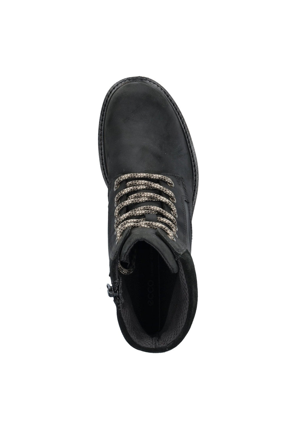 ELAINA Media 5