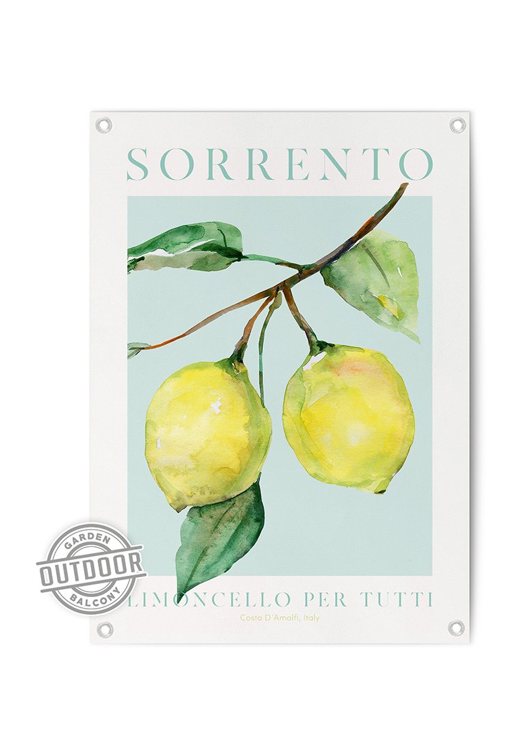 Orange Wallz SORRENTO LEMONS