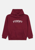 LOGO PRINT FLEECE HOODY Media 1