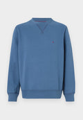 Tommy Hilfiger SEASONAL CREWNECK - Sweatshirt - aegean sea