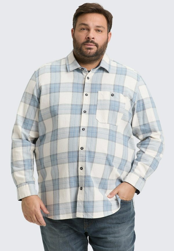 TOM TAILOR PLUS SIZE - MIT KAROMUSTER - Shirt - white/light blue check