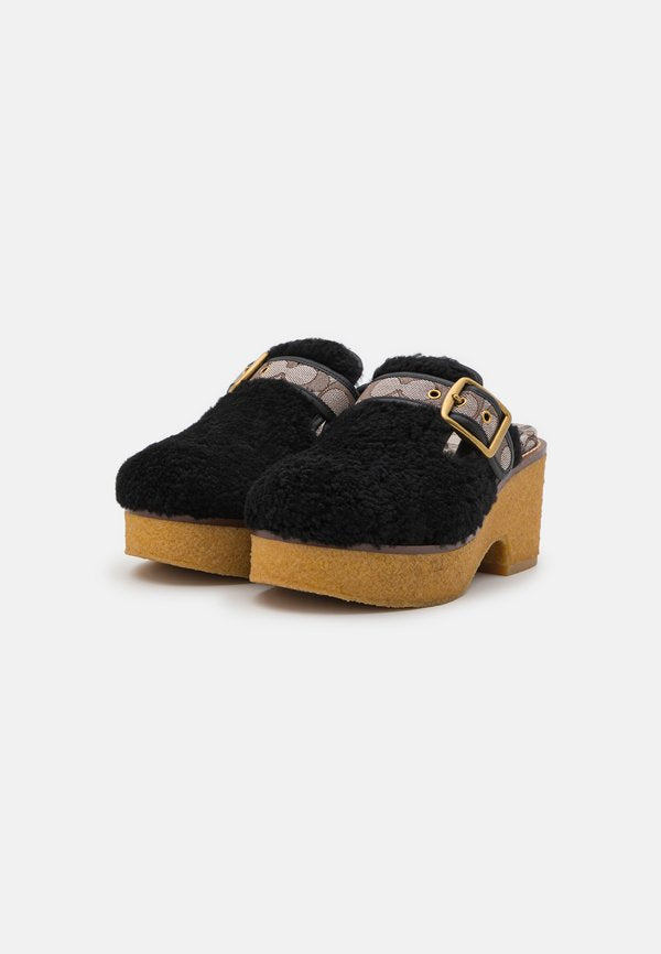 COACH DYLAN SHEARLING