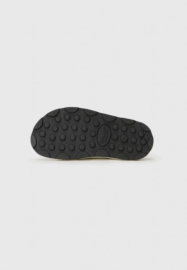 Pollini