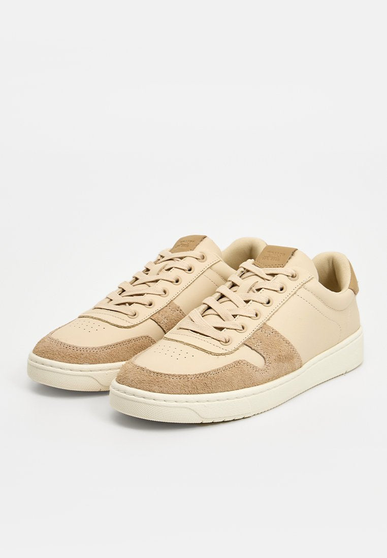 TOMS