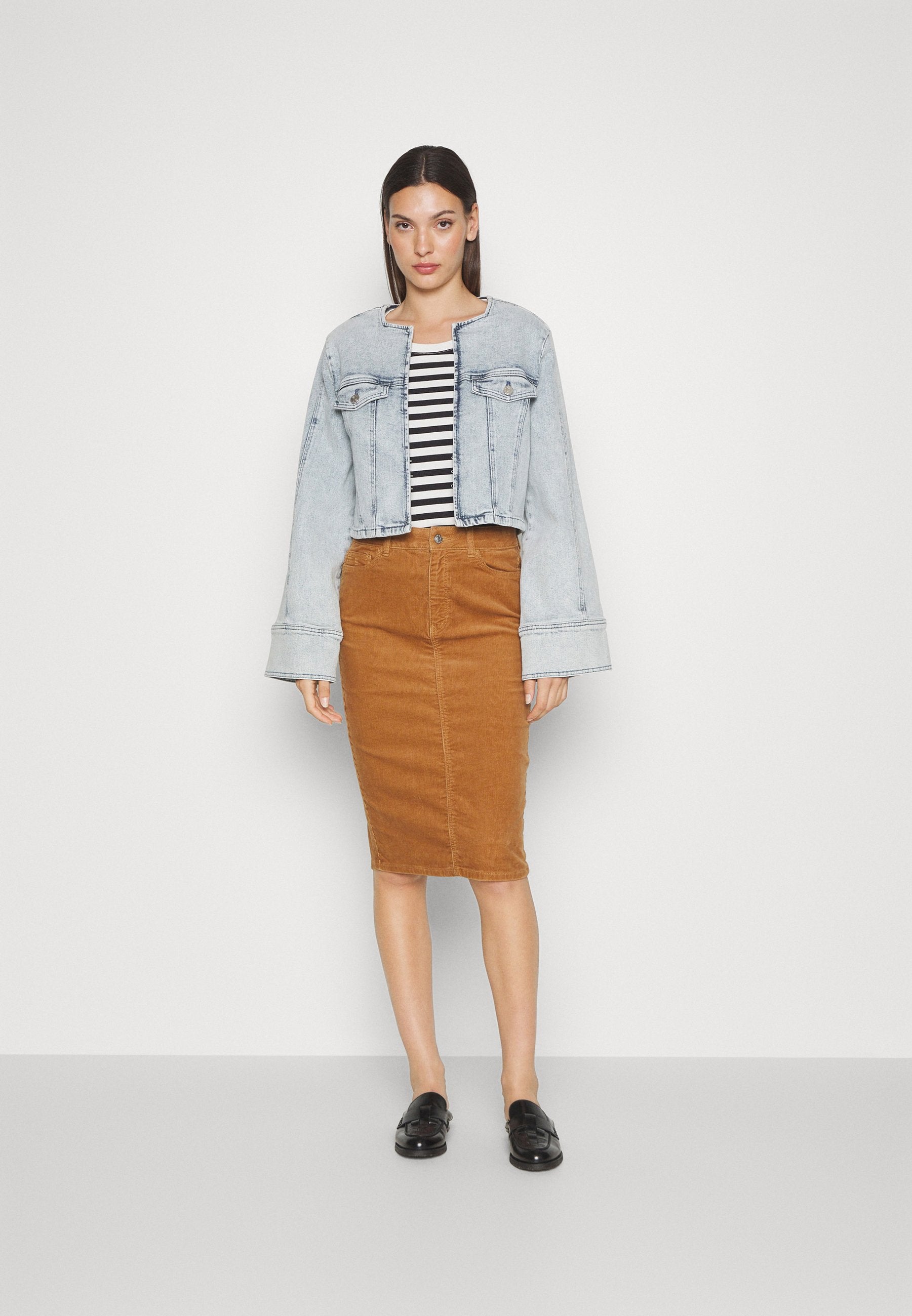 SKIRT Media 4