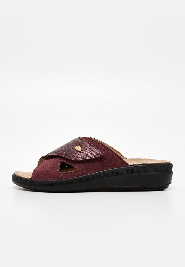 Scholl ANTONIA